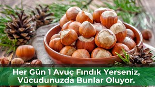 Her Gün 1 Avuç Fındık Yerseniz, Vücudunuzda Bunlar Oluyor! - Pratik Bilgi Bankası