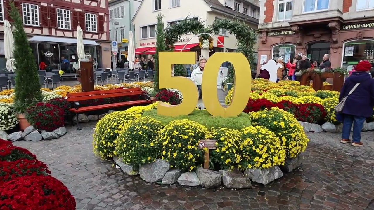 LAHR - FESTIVAL DES CHRYSANTHEMES  - 2025 -