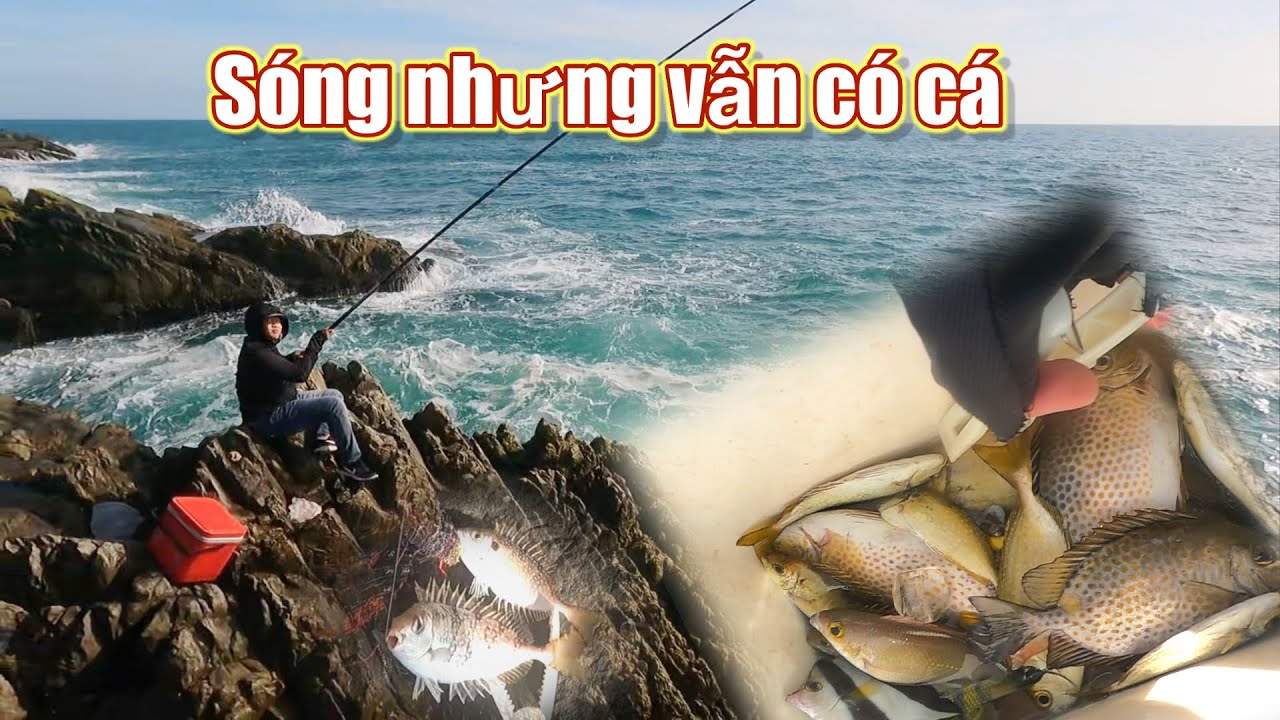 Câu cá dò, dìa gềnh biển