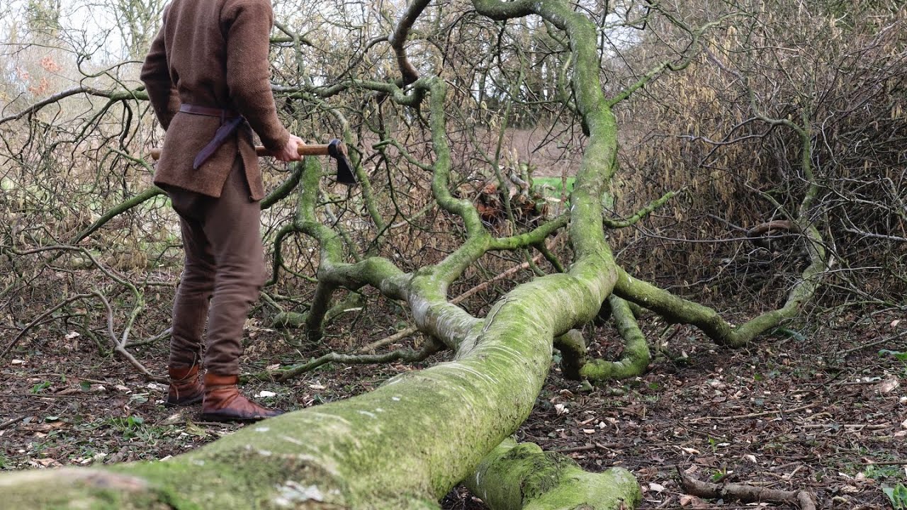 Medieval Woodland Forestry Ambience | Axe Woodcutting, Birdsong and Riverside Nature