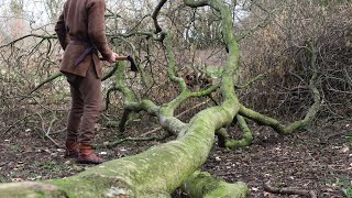 Medieval Woodland Forestry Ambience | Axe Woodcutting, Birdsong and Riverside Nature by Gesiþas Gewissa | Anglo-Saxon Heritage 7,770 views 2 months ago 3 minutes, 35 seconds