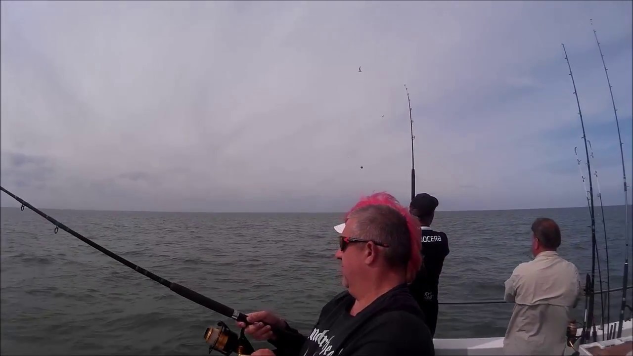 essex sea fishing bagging up on bass YouTube