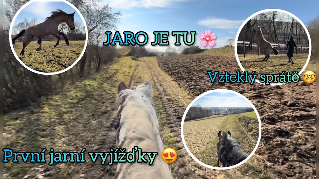 Jaro je tu! 🌸🐴 || VLOG || N&F SOULMATES