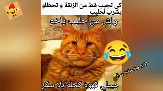 نكت جزائرية مضحكة جدا 58