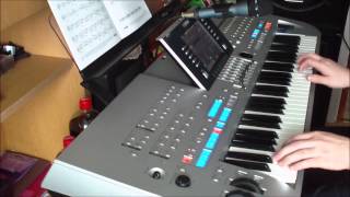 Cheri Cheri Lady Yamaha Tyros IV chords