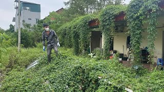 Download Lagu The overgrown grass had invaded his path and could not be cleared until I arrived. MP3 Download Lagu The overgrown grass had invaded his path and could not be cleared until I arrived. MP3