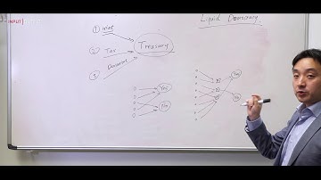 IOHK | Cardano whiteboard; Treasuries, with Bingsheng Zhang, Ph.D. Lecturer