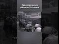 Как древние таскали 300-тонные мегалиты? Например, так: 1929 год, Италия, обелиск Муссолини