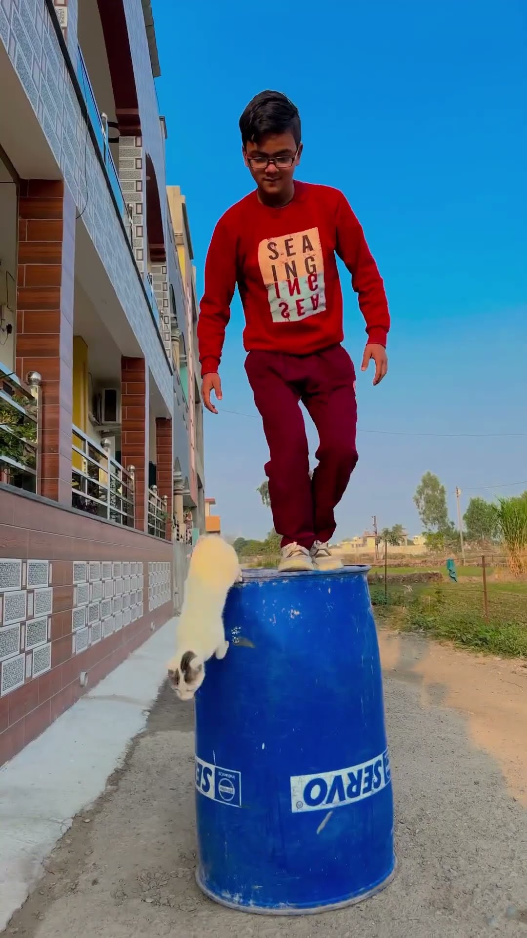 Billi Ne Jump Kaisa Kiya ? ? #shorts #cat #jump #ytshots #viralvideo #trending