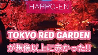 八芳園のTOKYO RED GARDEN AUTUMN FESTIVAL 2023に行ってきました!　We went to TOKYO RED GARDEN 2023 at Happo-en!