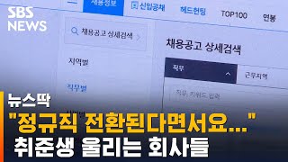 정규직이라더니 입사하자 '말 바꾸기'…취업사기 만연 / SBS / 뉴스딱