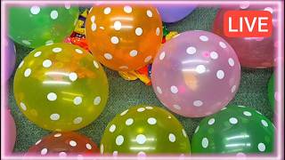 LIVE 🎈 Satisfying Balloon Pop Challenge | Inflating &amp; Popping Colorful Polka Dot Balloons