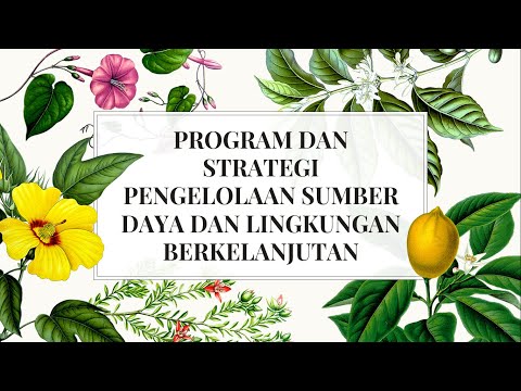 Video: Apa itu strategi pemantauan berkelanjutan?