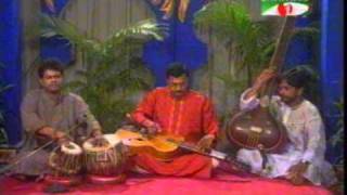 Dolan Kanungo playing Mohan Veena - Raga- Boiragi (A morning raga)