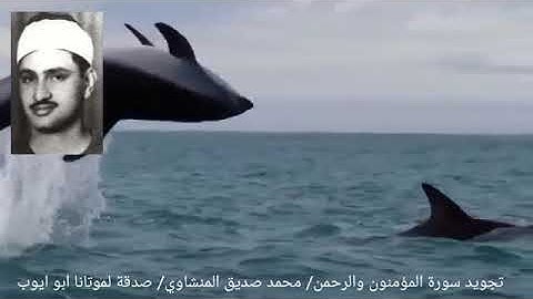 وقل رب إغفر وارحم وأنت خير الراحمين _ سورة المؤمنون  آية { ١١٨ } وسورة الرحمن _ المنشاوي