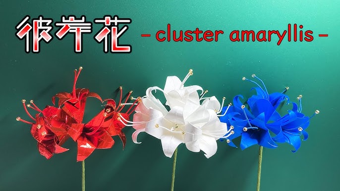 青い彼岸花 折り紙で彼岸花を作ります I Make A Cluster Amaryllis With Origami Youtube 青い彼岸花 折り紙で彼岸花を作ります I Make A Cluster Amaryllis With Origami Youtube