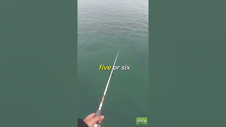How to catch squid!!