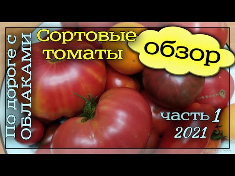 Video: Сарымсак, райхон жана томат нанын кантип жасашат