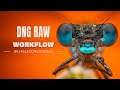 Dng raw workflow in helicon focus