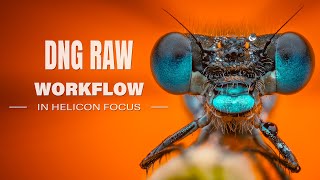 DNG RAW Workflow in Helicon Focus screenshot 2