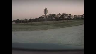 Tesla Model S Vs. Deer