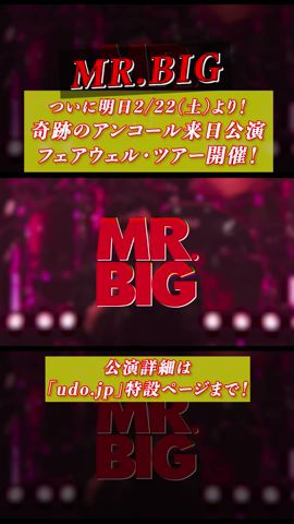 MR.BIG／ミスター・ビッグ】奇跡のアンコール来日公演！フェアウェル