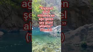 Hadisler #islamicshorts #hadis #hadisler #buhari #ehlisünnet #keşfet #şelale #gezi #youtubeshorts