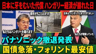 【海外の反応】「税金2倍・罰金50億!」パナソニック逆鱗でハンガリー経済が崩れた日
