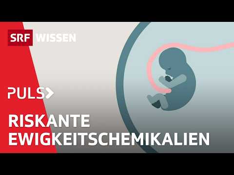 What are PFAS and how do they endanger us? | Puls | SRF Wissen