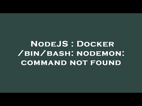NodeJS : Docker /bin/bash: nodemon: command not found
