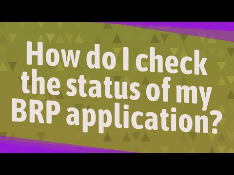 How do I check the status of my BRP application?