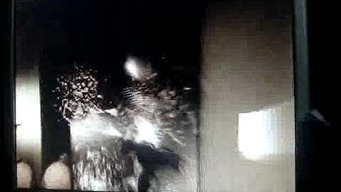 Max Payne 2 Part 1 Chapter 7