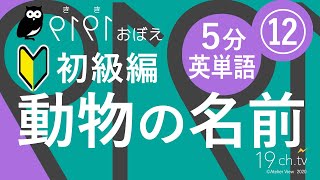 5分で英単語 初級編 12 動物の名前 聞き覚え Youtube