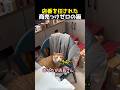 店番を任された商売っけゼロの猫
