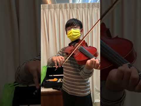 維也納中提琴檢定W8001鍾睿恆