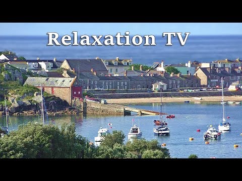 Relax Your Dog TV : Beautiful Morning Sounds and Scenes - 8 HOURS ~ Relax with Nature