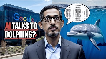 The World’s First AI-Dolphin Conversation (Google’s Breakthrough)