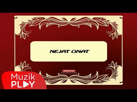 Aşkımı İsteme - Nejat Onat