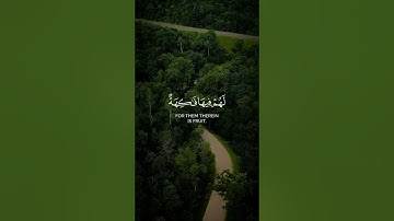 ﴿ إِنَّ أَصْحَابَ الْجَنَّةِ الْيَوْمَ فِي شُغُلٍ فَاكِهُونَ﴾[ سورة يس: 55] #أحمد_النفيس