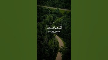 ﴿ إِنَّ أَصْحَابَ الْجَنَّةِ الْيَوْمَ فِي شُغُلٍ فَاكِهُونَ﴾[ سورة يس: 55] #أحمد_النفيس