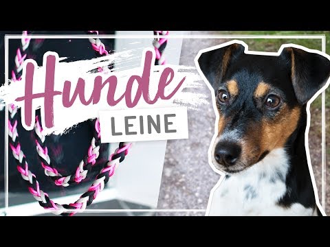 Video: Wie Man Eine Hundeleine Macht