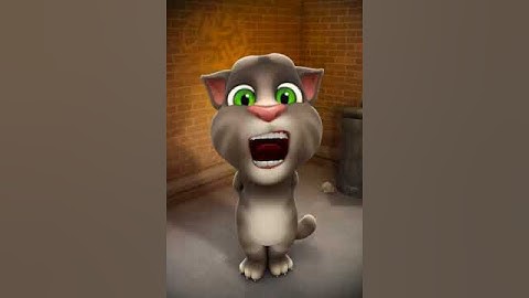 تحفيض سورة الفاتحة بتلاوة من طرف القط توم