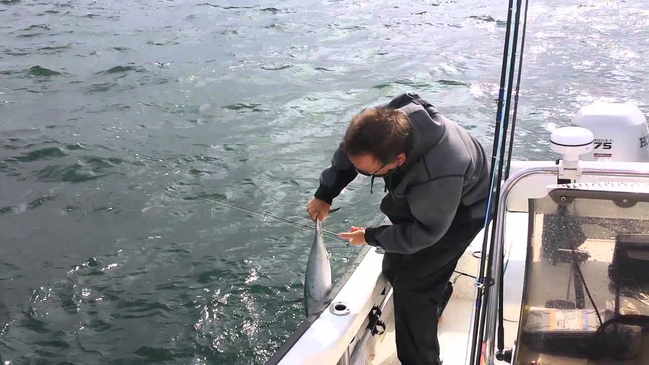 Al Gags Whip-it Fish vs Albie