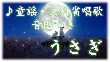おかあさんといっしょ うさぎ 歌詞 おかあさんといっしょ うさぎ 歌詞