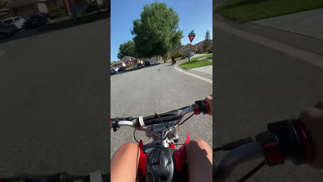 Bajamotorsports 49cc dirt runner🛞💨🔥