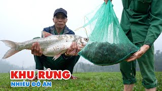 Bến Sông Giữa Rừng Rất Nhiều Đồ Ăn - Tho Rung