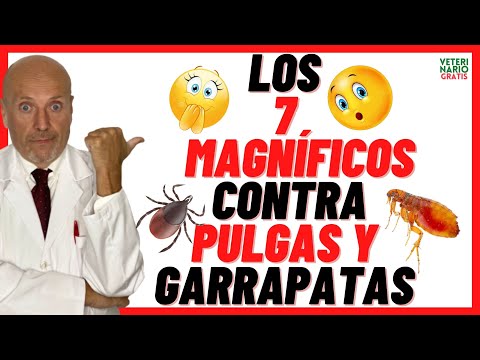 Video: Cómo hacer un repelente natural de pulgas y garrapatas