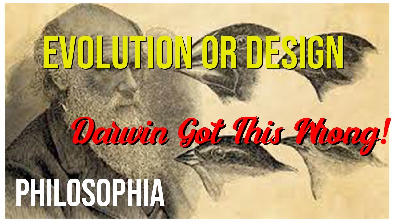 The Problem With Evolution And The Physiology Of Belief YouTube The problem with evolution and the physiology of belief youtube