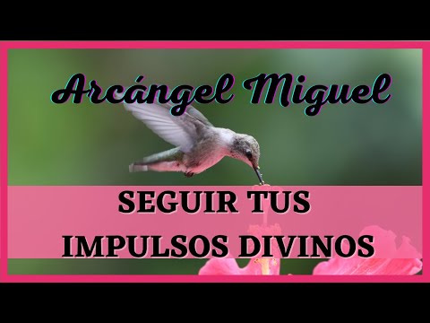 ARCÁNGEL MIGUEL "Sigue tus IMPULSOS DIVINOS" 💌 Mensaje de los Ángeles para ti💗Diana Mensajes Divinos