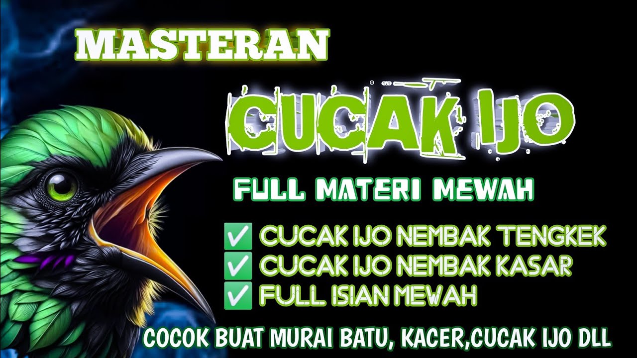 2 jam masteran CUCAK IJO paling di cari‼️Full materi mewah Full isian mewah